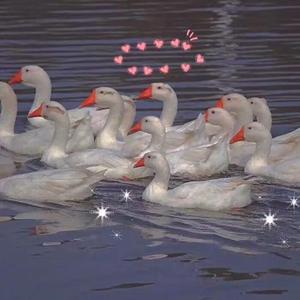 性欧美❌❌潮喷水
